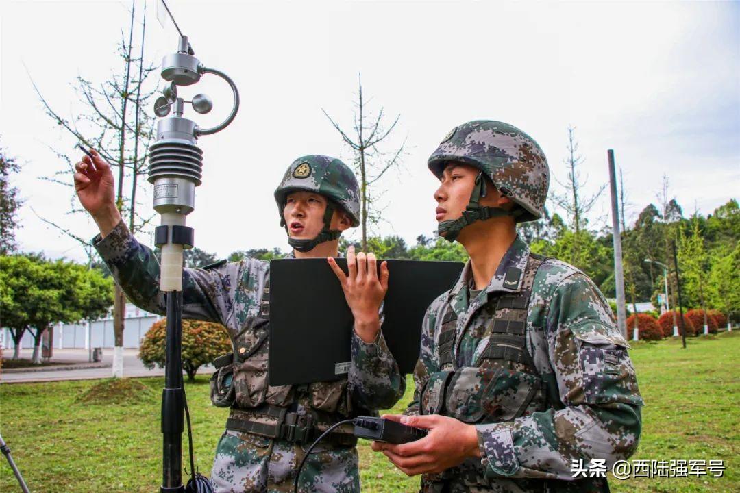 气象数据分析服务详解，涵盖内容、应用与优势