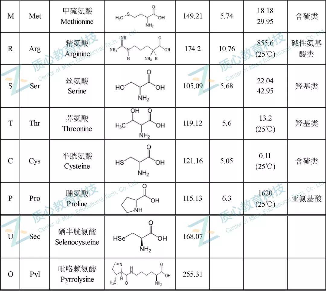 探究Tyr氨基酸的神秘缩写之旅