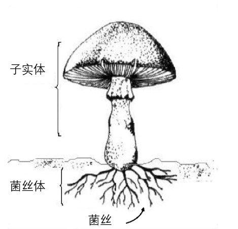 2024年12月8日