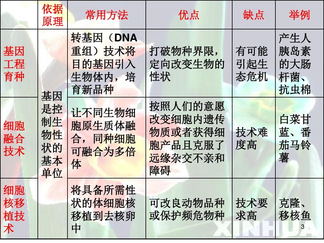 作物育种方法的种类及其优缺点概述