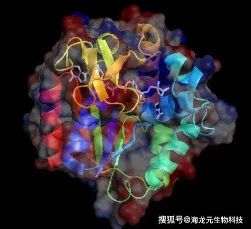 生物酶解技术引领生物科技革新篇章