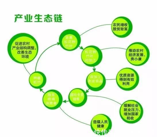 农业生物系统工程学，引领现代农业发展的尖端科技之力