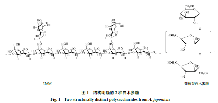 多糖提取方法与技术研究进展