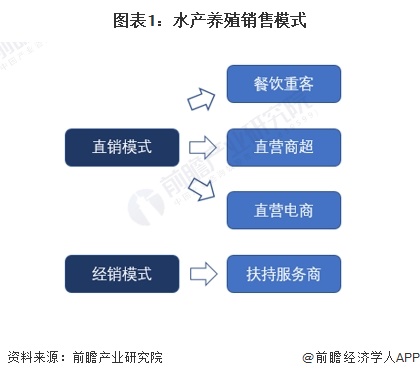 中国水果巨头引领产业新纪元，构建水果供应链新标杆