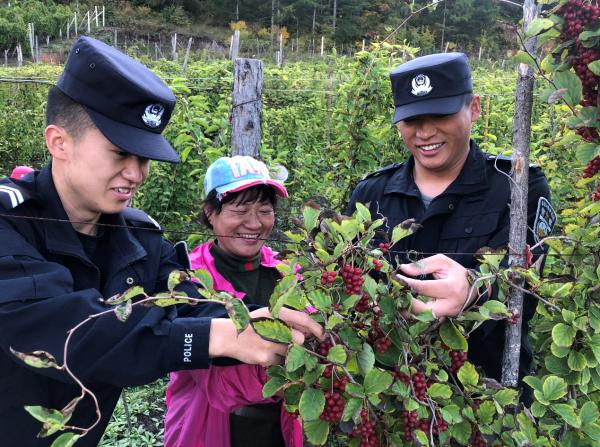 智能农业新时代，实时观测农作物长势的App引领变革之路