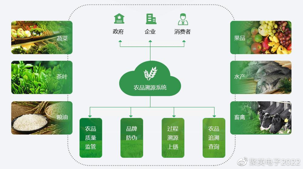 智慧农业物联网，引领农业新时代浪潮的先锋力量