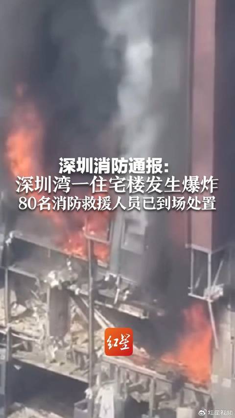 深圳湾突发爆炸事件，真相揭秘、影响及深刻反思