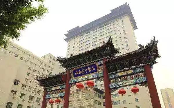 东山县文化广电体育和旅游局招聘新动态解析