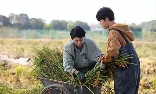 农业新时代与直播的交融，种地吧直播的兴起与探索