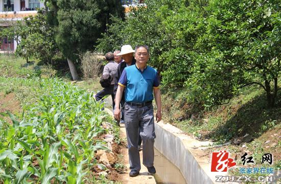 慈利县文化广电体育和旅游局新项目推动文化体育事业繁荣发展