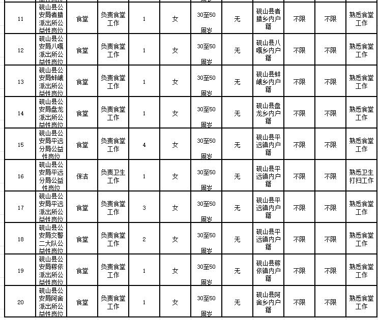 砚山县民政局最新招聘信息与招聘细节深度解析