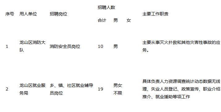 龙山区人民政府办公室最新招聘启事概述