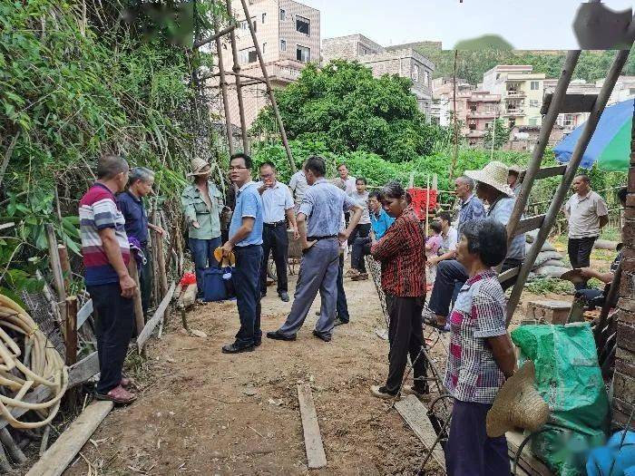 南那村最新新闻动态报道