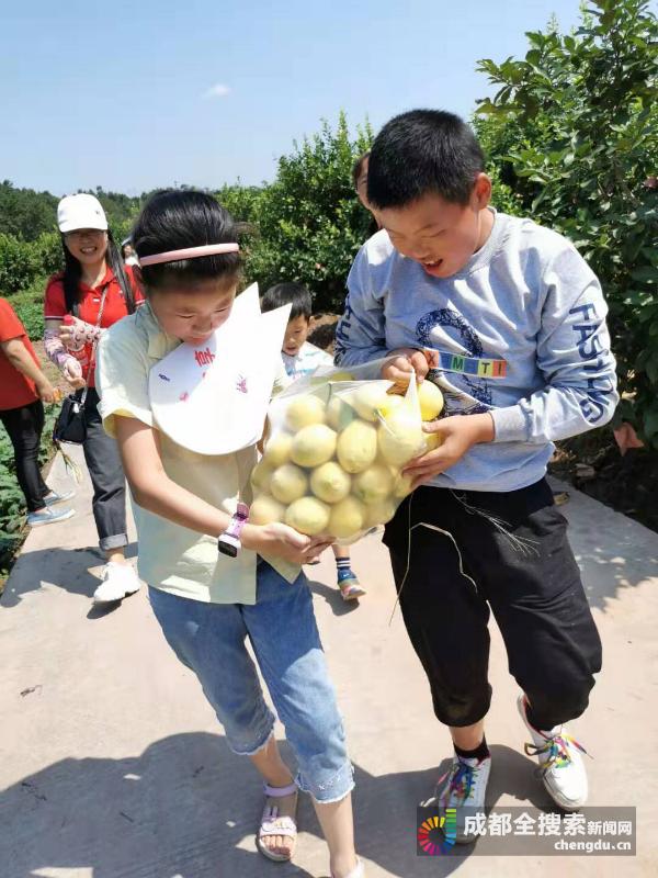 鸡公眼村委会乡村振兴新篇章启动，最新项目引领未来