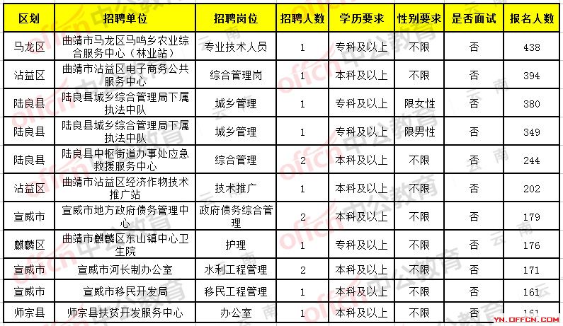 文山县统计局最新招聘启事概览