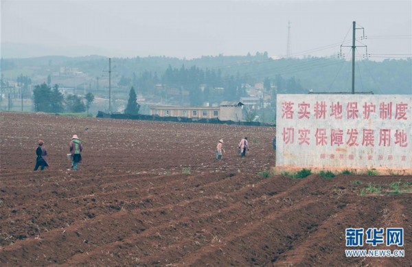 龙庆彝族壮族乡秀山街道办事最新项目进展及前景展望